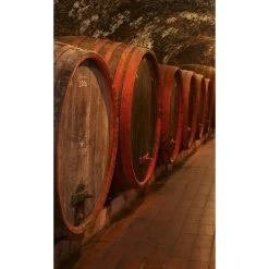 Dimex | Dimex Line | MS-2-0247 | Fototapete | Vlies | Versch. Größen | Küche | Braun