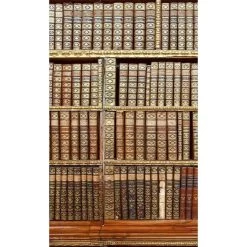 Dimex | Dimex Line | MS-2-0263 | Fototapete | Vlies | Versch. Größen | Fotokunst | Braun