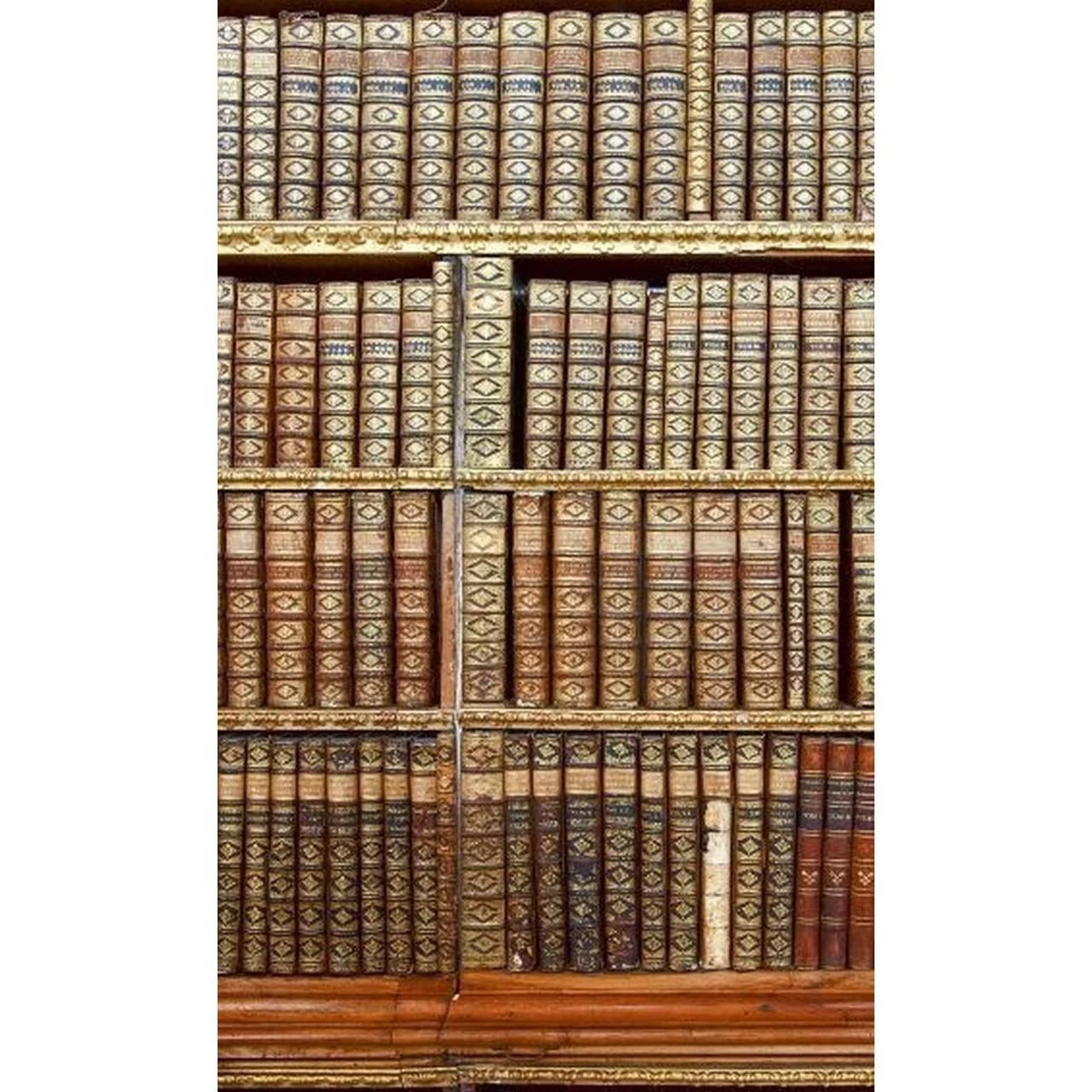 Dimex | Dimex Line | MS-2-0263 | Fototapete | Vlies | Versch. Größen | Fotokunst | Braun 1 Dimex | Dimex Line | MS-2-0263 | Fototapete | Vlies | Versch. Größen | Fotokunst | Braun