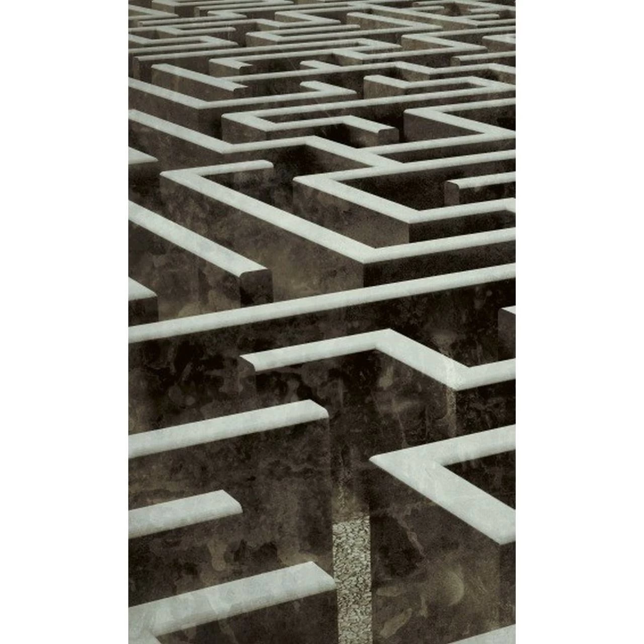 Dimex | Dimex Line | MS-2-0279 | Fototapete | Vlies | Versch. Größen | 3D | Braun 1 Dimex | Dimex Line | MS-2-0279 | Fototapete | Vlies | Versch. Größen | 3D | Braun